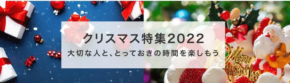 クリスマス 2022 プレゼント【ビビコピー】